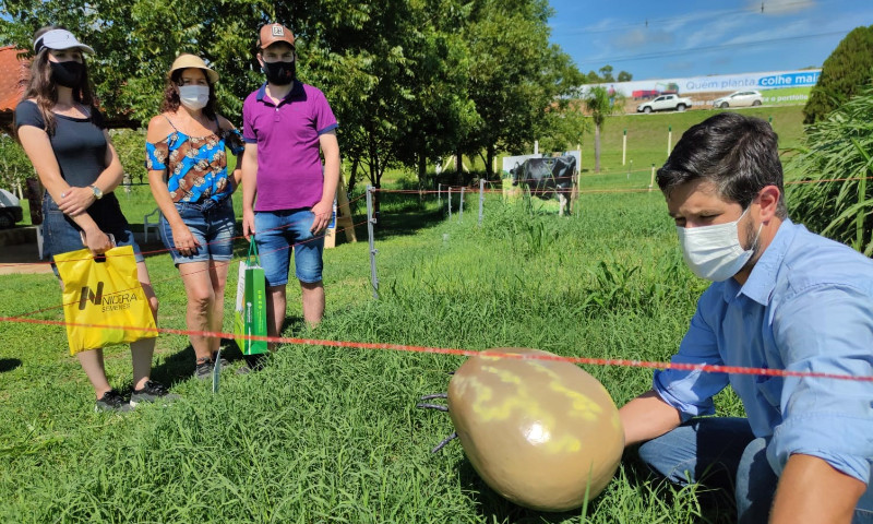 Emater/RS-Ascar mostra controle natural do carrapato com base no manejo do pasto