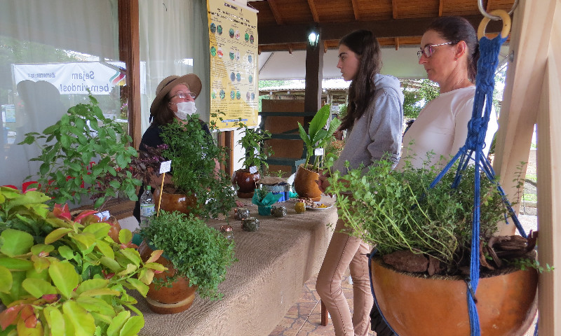 Expoagro Afubra – plantas medicinais, aromáticas e condimentares: do cultivo ao aproveitamento