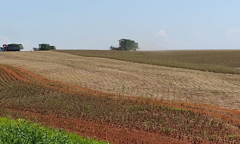 Colheita da soja alcança 3% das lavouras do RS