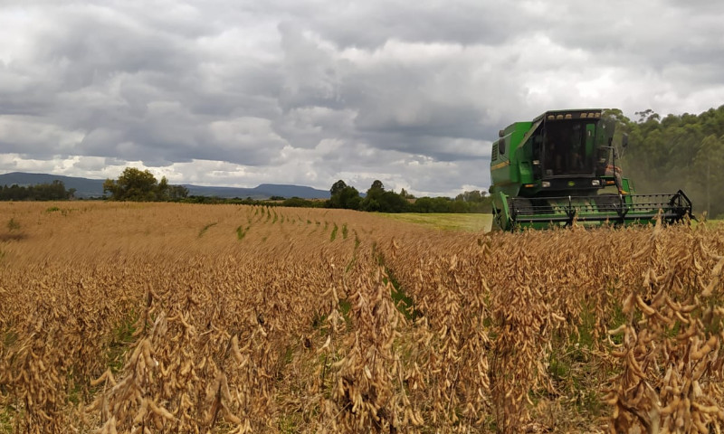 Colheita da soja é retomada e já alcança 55% da área cultivada
