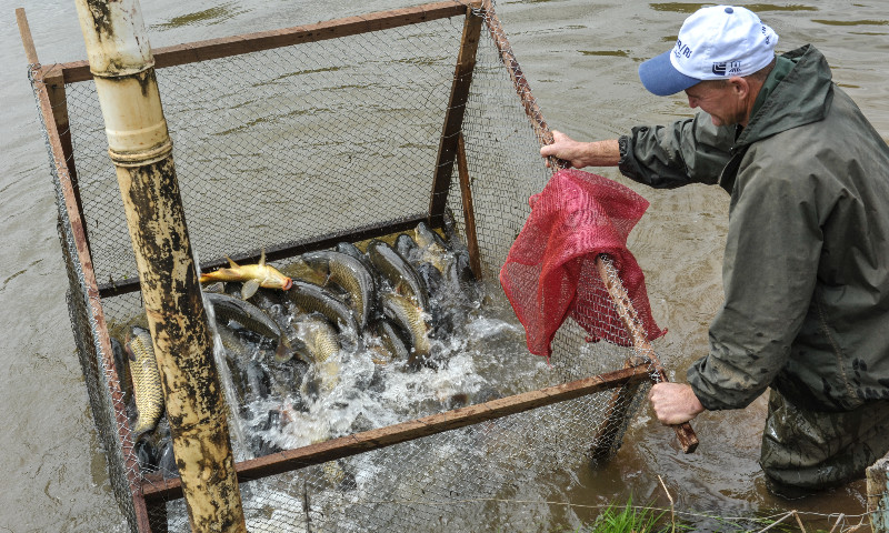 RS prevê comercializar mais de 3 mil toneladas de pescado na Semana Santa 2022