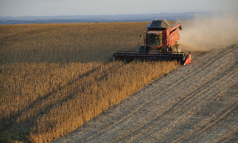 Mais de dois terços da área cultivada com soja já foram colhidos