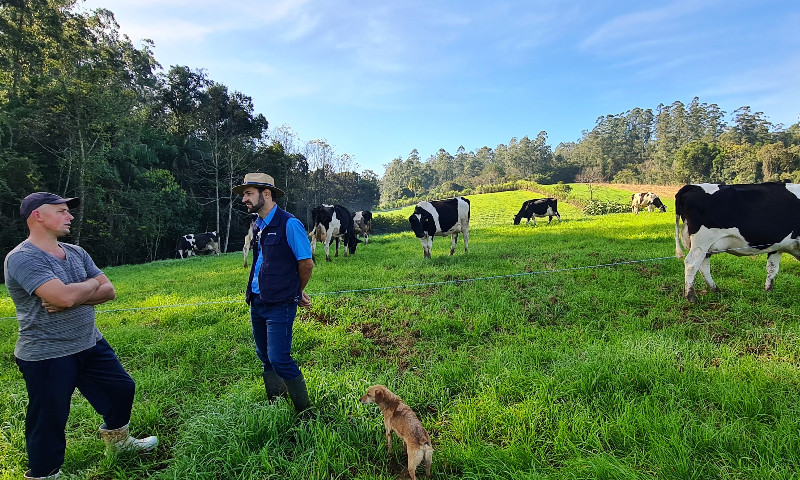Planejamento possibilita férias para agricultores sem prejudicar atividade leiteira