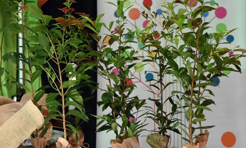 Coprel Ecologia: produtor rural de Vila Maria foi premiado pelo segundo ano seguido