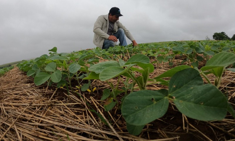 AgTech gaúcha conquista selo como Empresa B