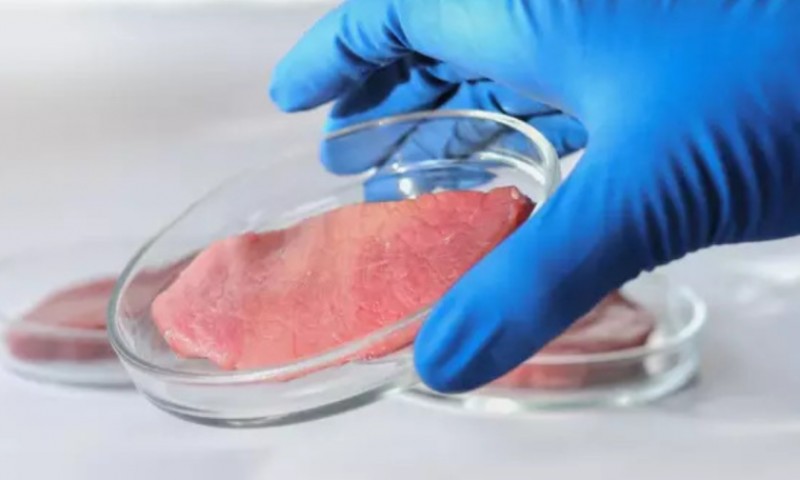 Carne cultivada deve chegar ao mercado brasileiro em 2024