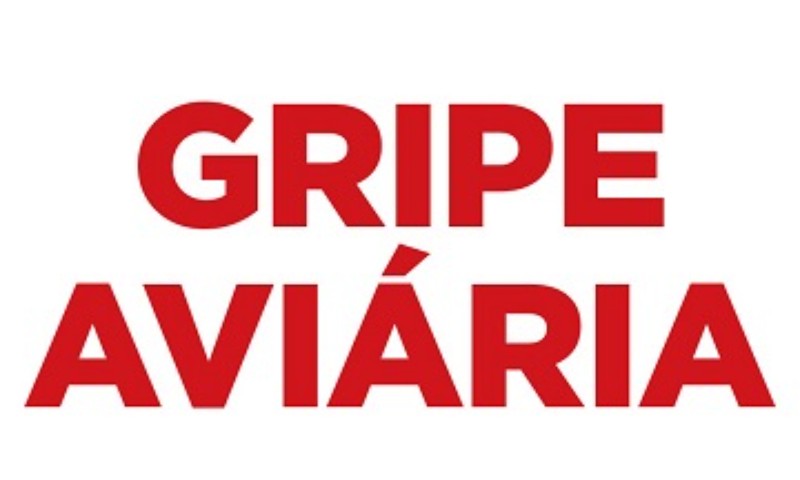 Seapdr e Mapa intensificam medidas de prevenção à gripe aviária em território nacional
