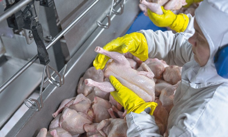Embarques de carne de frango do RS aumentam 20% em novembro