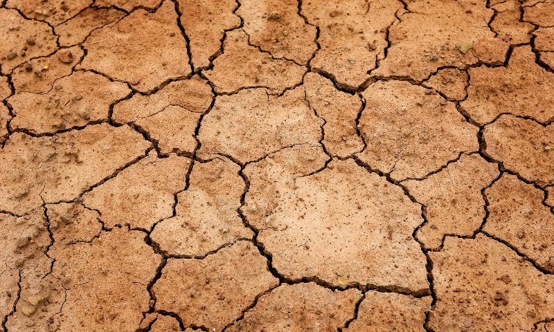 Estiagem causa perdas irregulares nos cultivos de verão no Rio Grande do Sul