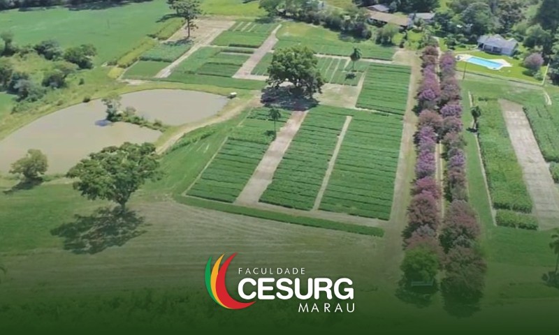 II Dia de Campo de Verão da Faculdade CESURG já tem data marcada