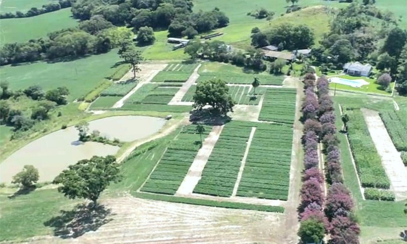AGRO: Vem aí o segundo Dia de Campo de Verão da Faculdade CESURG Marau
