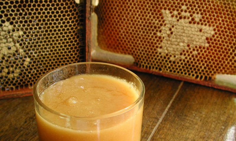 Retorno das chuvas possibilita aumento da produtividade na apicultura