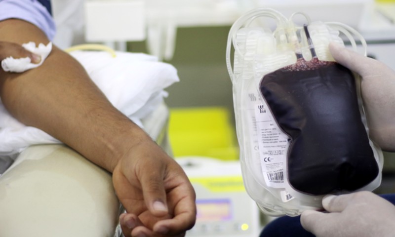 Vai doar sangue pela primeira vez? Tire as principais dúvidas sobre esse ato que ajuda a salvar vidas