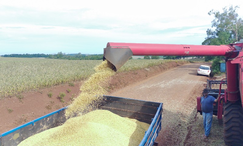 Colheita da soja se aproxima do final
