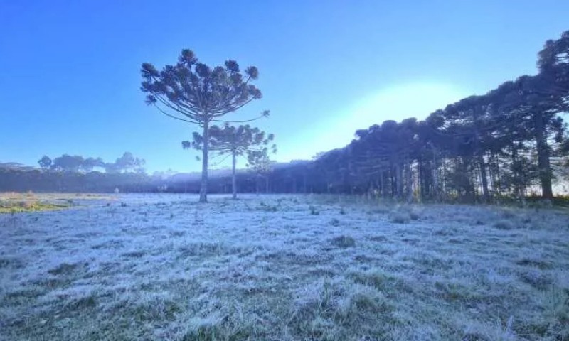 CLIMA: Fim de semana terá frio e tempo firme no Rio Grande do Sul