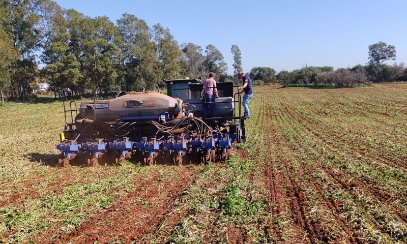 Produtores gaúchos iniciam plantio do milho