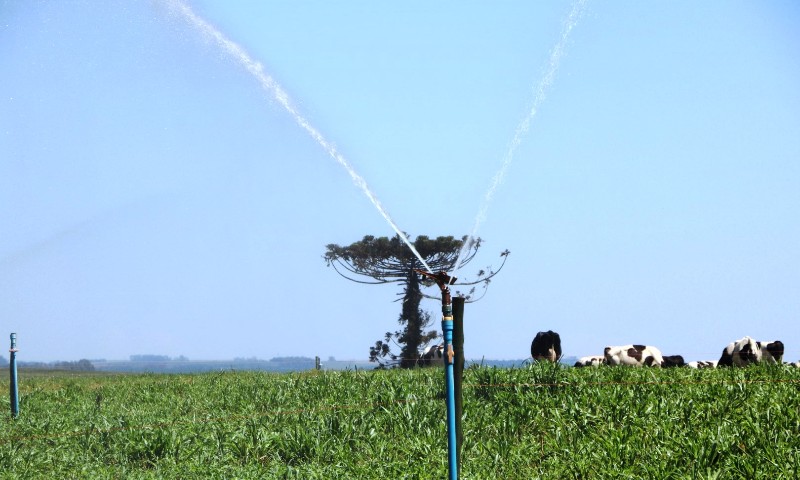 Governo do Estado lança edital para projetos de irrigação