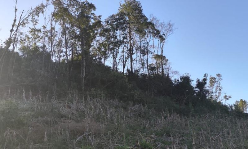 3º Batalhão Ambiental da Brigada Militar desencadeia a Operação Força Verde – combate ao desmatamento em Casca