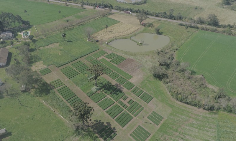 Está chegando o II Dia de Campo de Inverno da Faculdade CESURG Marau
