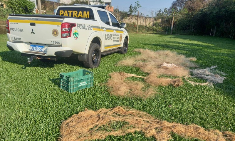 3º Batalhão Ambiental da Brigada Militar realiza patrulhamento ambiental preventivo em Passo Fundo e Mato Castelhano