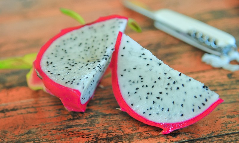 Pesquisadores desenvolvem pitaia que se ‘autopoliniza’; veja como cultivar a fruta