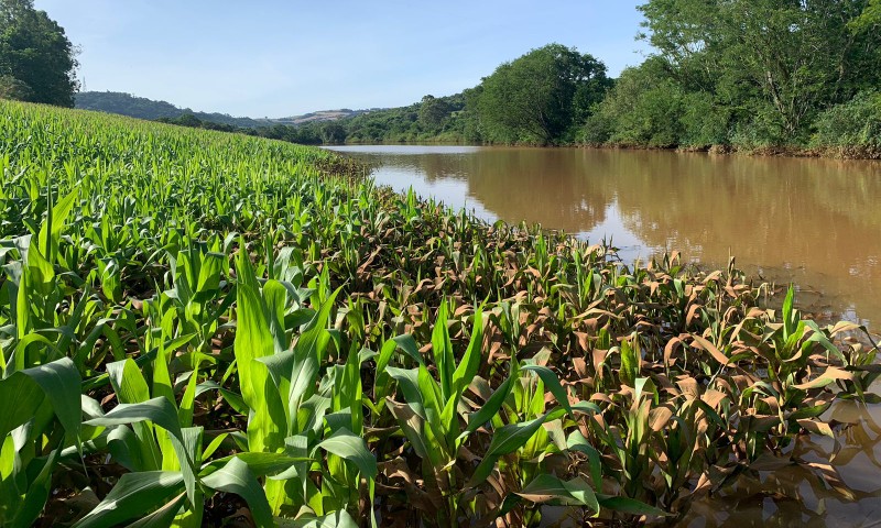 Estado divulga último levantamento do impacto das chuvas na produção rural