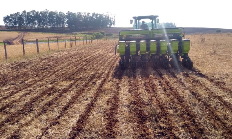 Plantio da soja atinge 3% da área prevista para RS