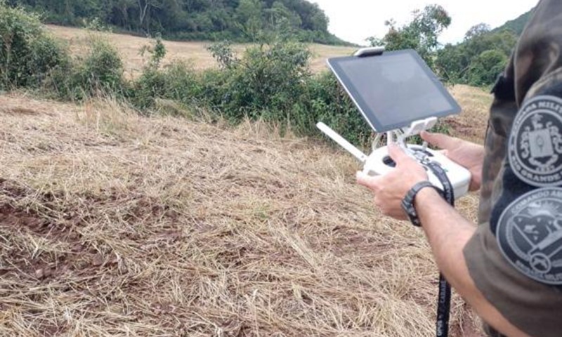 3º Batalhão Ambiental da Brigada Militar flagra 10 mil metros quadrados de desmatamento em Serafina Corrêa