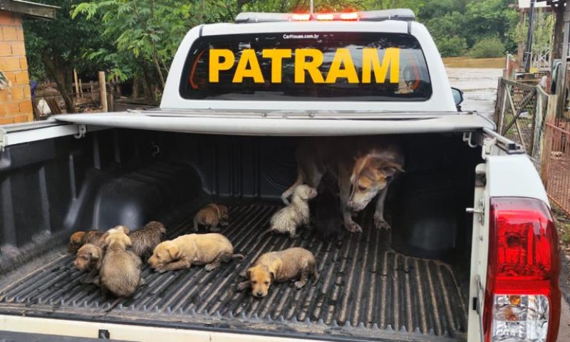 3º Batalhão Ambiental da Brigada Militar atua no resgate da população atingida pelas fortes chuvas em Passo Fundo