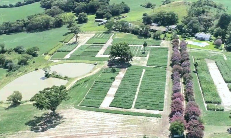 Terceiro Dia de Campo de Verão da Faculdade CESURG Marau já tem data marcada