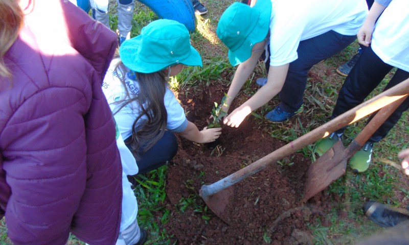 Comando Ambiental forma 1.364 alunos no Programa Patrulheiro Ambiental Mirim em 2023