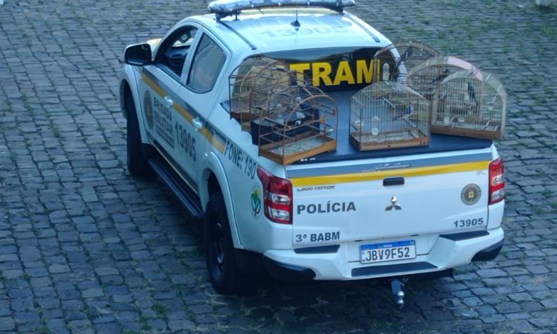3º Batalhão Ambiental da Brigada Militar resgata pássaros silvestres mantidos em cativeiro em Passo Fundo