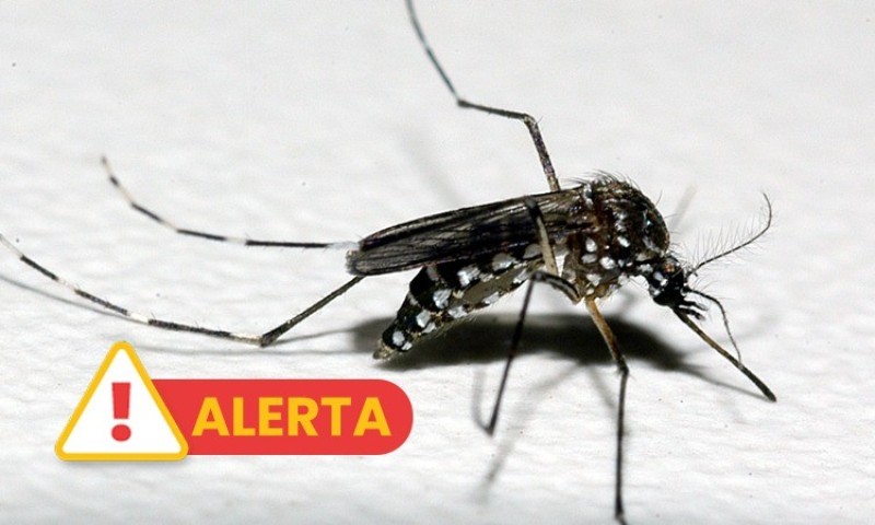 RS registra o quarto óbito por dengue em 2024