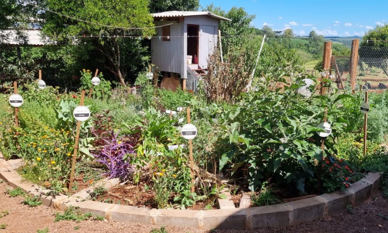 Rota Belezas de Ciríaco sedia Curso Básico de Plantas Medicinais, Condimentares e Aromáticas
