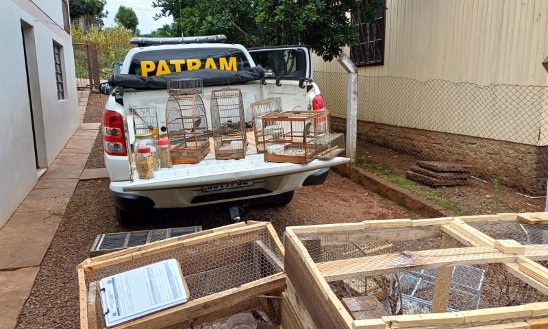 3º BABM resgata pássaros silvestres mantidos em cativeiro em Vila Maria