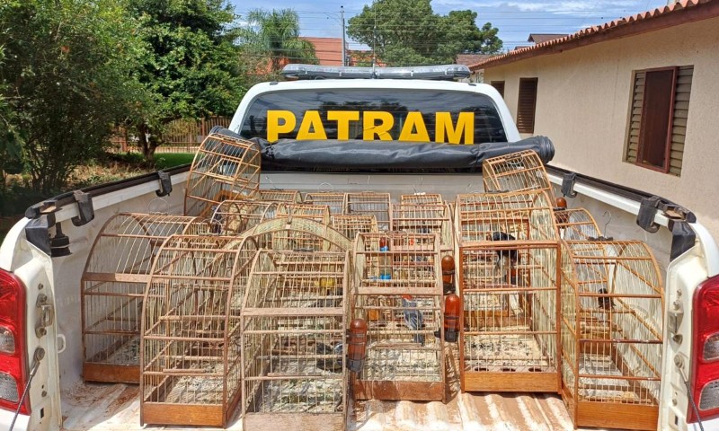 3º Batalhão Ambiental da Brigada Militar resgata pássaros silvestres mantidos em cativeiro em Marau