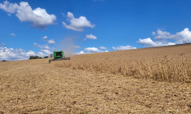 Colheita da soja se aproxima de 50% da área cultivada no RS