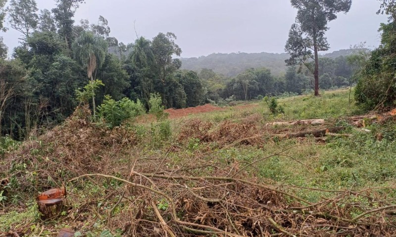 Brigada Militar flagra desmatamento e intervenção em banhado, em Marau
