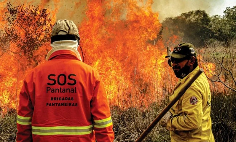 BRASIL: Incêndios no Pantanal atingem recorde