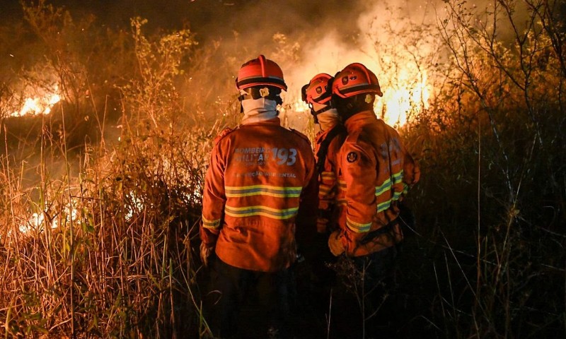 BRASIL: O Pantanal continua ardendo em chamas…