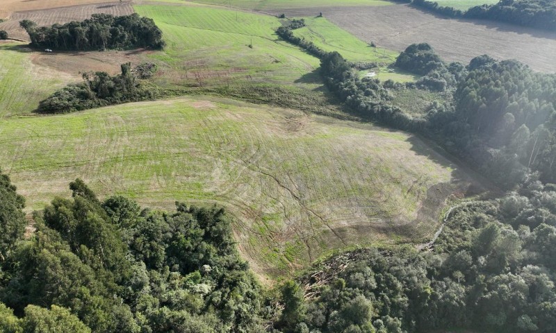 Brigada Militar flagra 74.000 metros quadrados de destruição de vegetação nativa em Gentil
