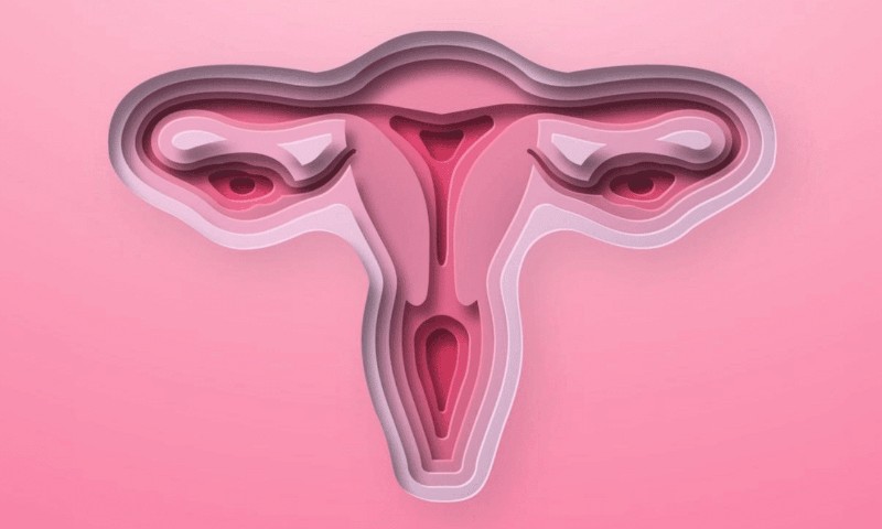 SAÚDE: Câncer de vagina em alta no mundo (e em baixa no Brasil)