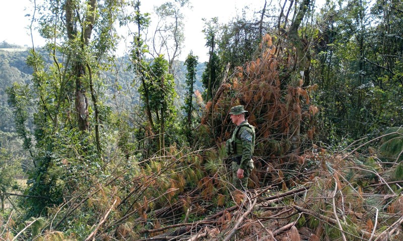 Brigada Militar flagra crimes contra a flora nos municípios de Casca e Coxilha