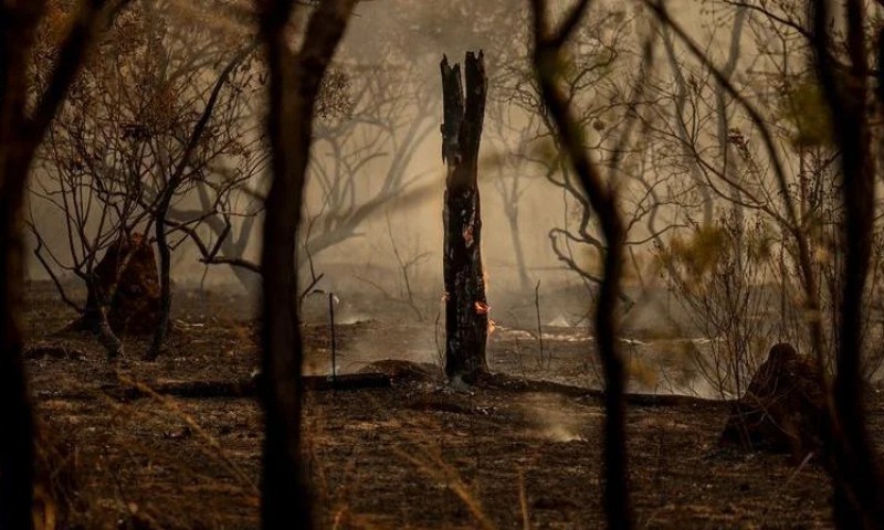 MEIO AMBIENTE: Brasil concentra 76% dos incêndios na América do Sul