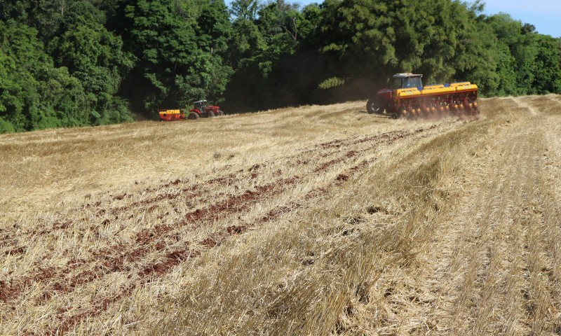 Plantio da soja começa no Rio Grande do Sul