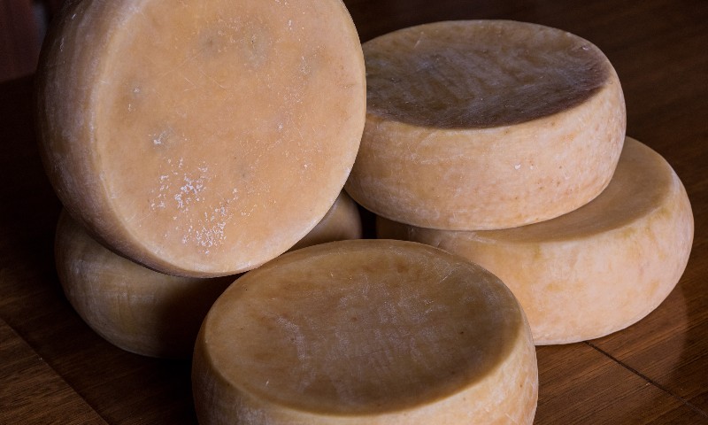 Modo de fazer queijo artesanal serrano é registrado como patrimônio imaterial