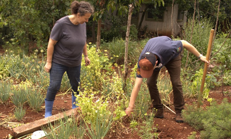 Projeto Quintais Produtivos: bolsistas da CESURG iniciam implantação de hortas em residências contempladas