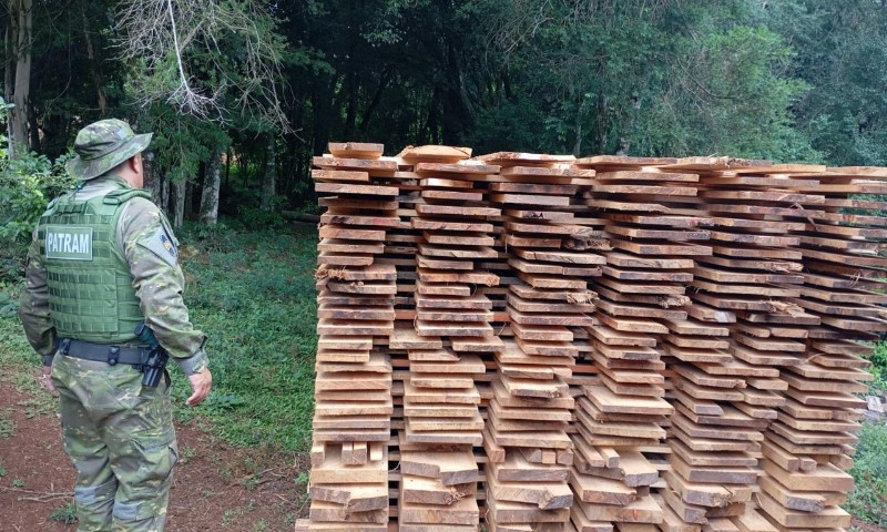 Brigada Militar flagra destruição de vegetação e apreende madeira ilegal no interior Passo Fundo