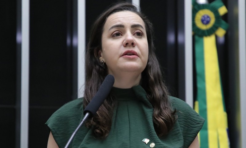 PEC que garante o direito à vida desde a concepção avança em Brasília