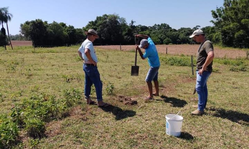 Adubação racional é destaque nas técnicas de manejo de solo